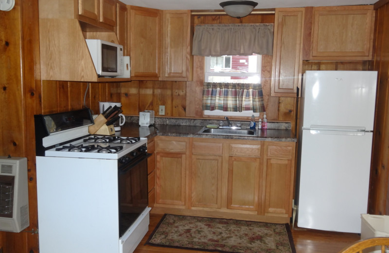 Cabin kitchen at Twin Oaks Resort & RV Park.