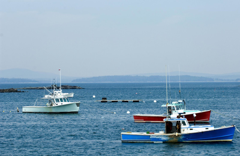 Boating near Bar Harbor Quality Inn.