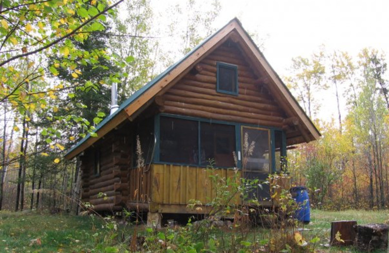 Cabin exterior at Log Cabin Hideaways.