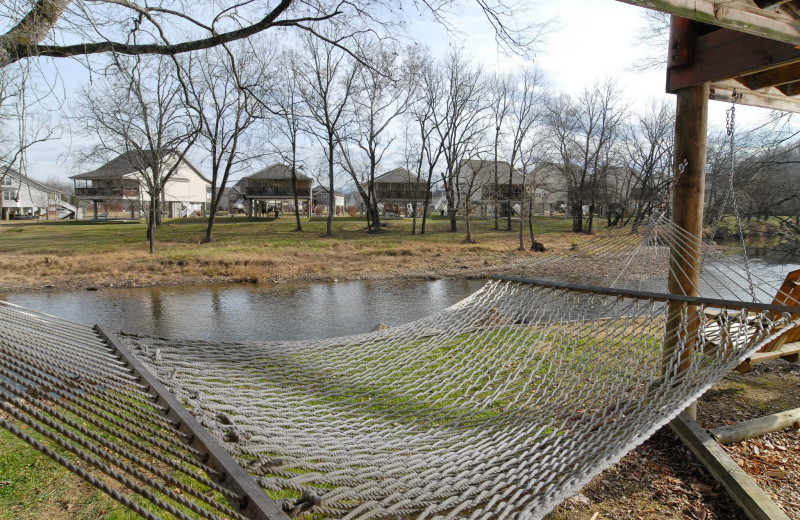 Hammock by the river at Fireside Chalets & Cabin Rentals.