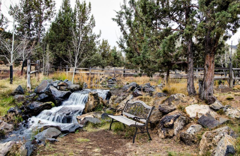 Vacation rental backyard at Vacasa Rentals Eagle Crest.