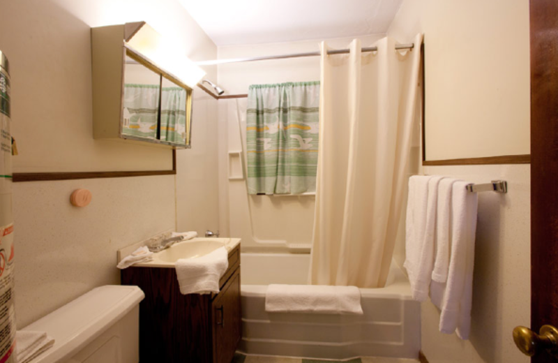 Guest bathroom at Delaware Court Motel.