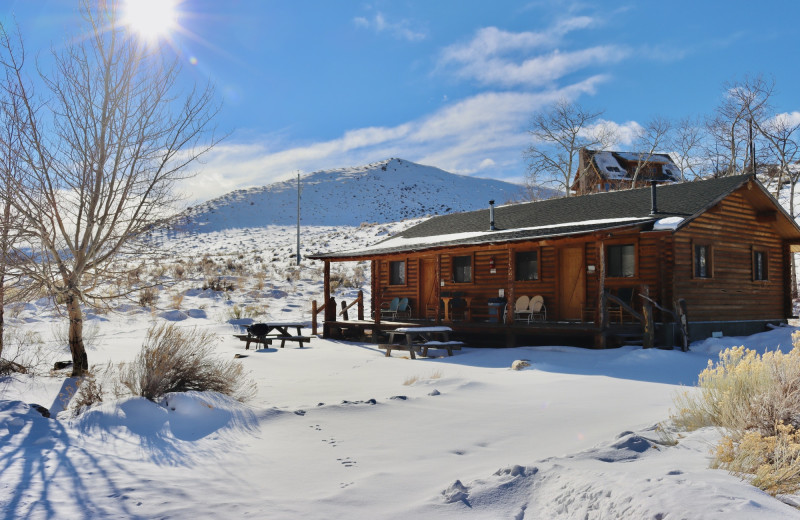Cabin exterior at Woods Landing.