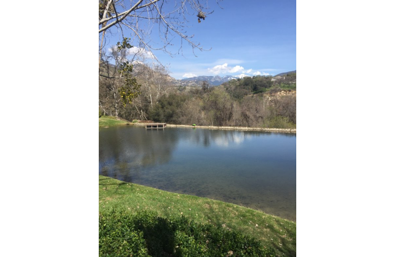 Lake view at Lake Elowin Resort.