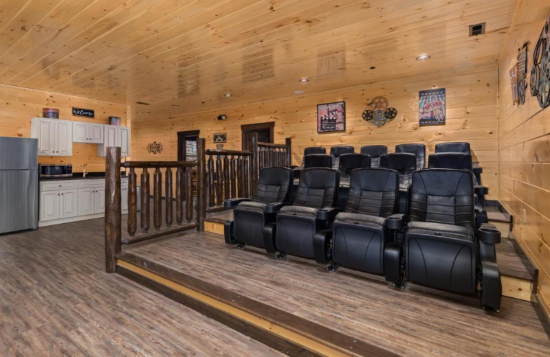 Rental theater at Stony Brook Cabins LLC.