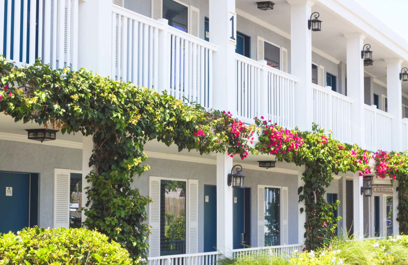 Exterior view of Southern Oaks Inn.