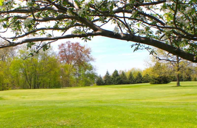 Spring Valley Golf and Lodge (Mercer, PA) Resort Reviews