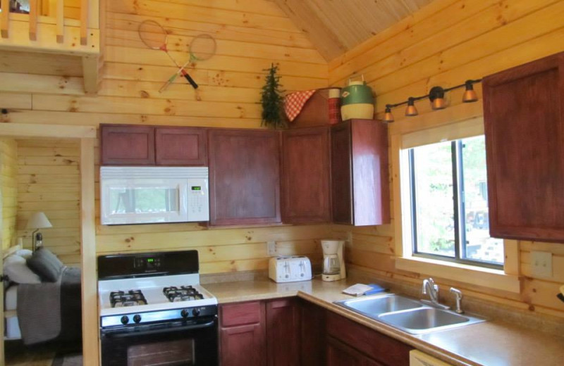 Cabin kitchen at Niemeyer's Rugged River Resort.