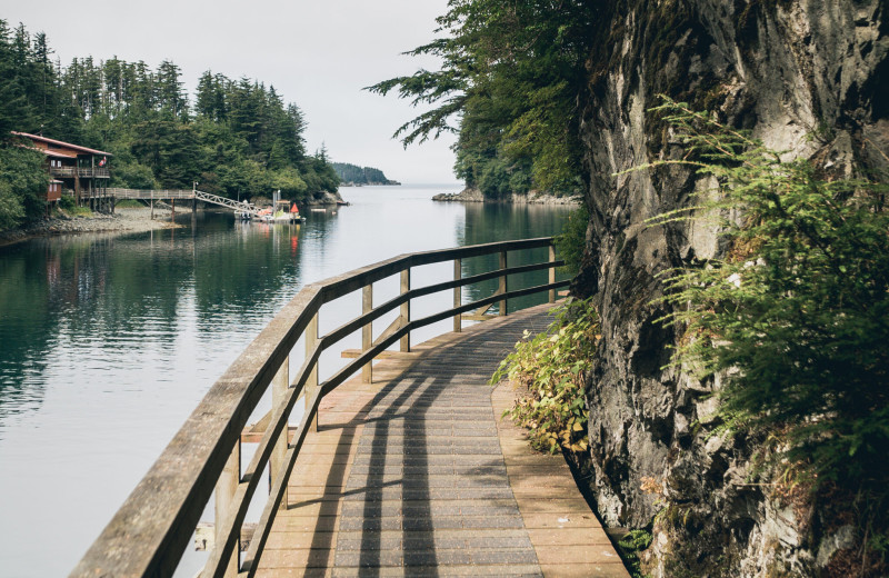 Boardwalk at Elfin Cove Resort.