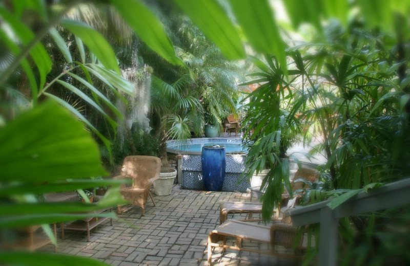 Pool at Mermaid & Alligator Key West.
