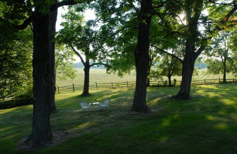 The yard outside Morgan-Samuels Inn.