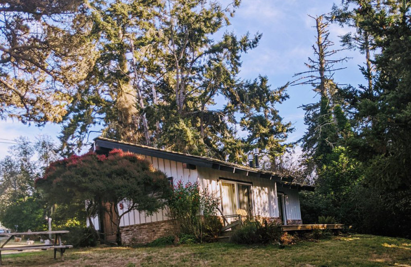 Cabin exterior at The Andiron Seaside Inn 