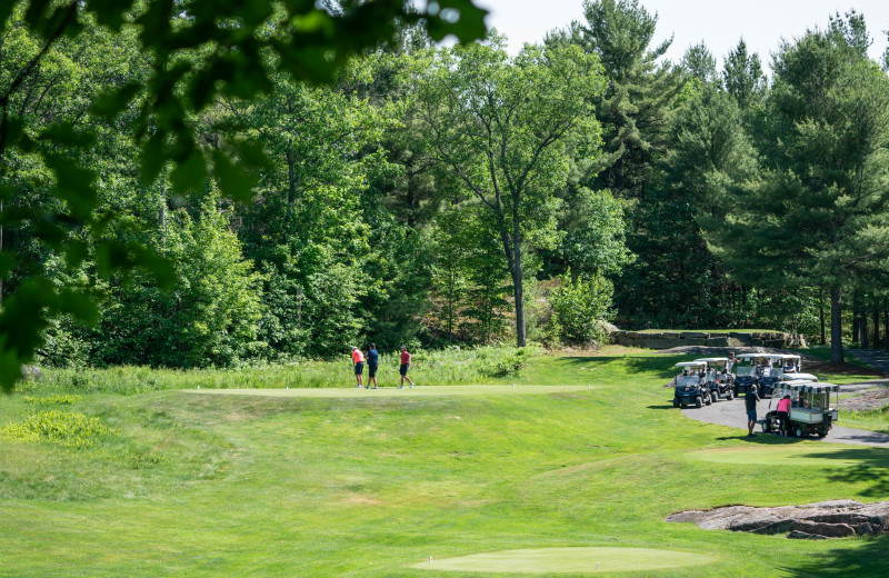 Golf at Taboo Muskoka.