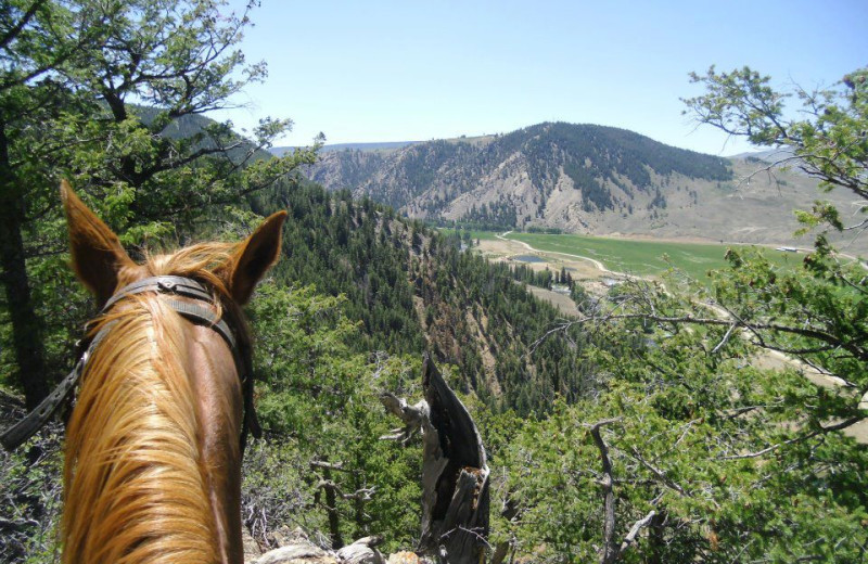 Horseback riding at Harmels Ranch Resort.