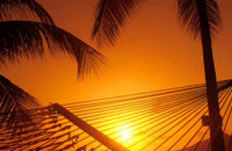 Hammock ant sunset at Long Bay Beach Resort