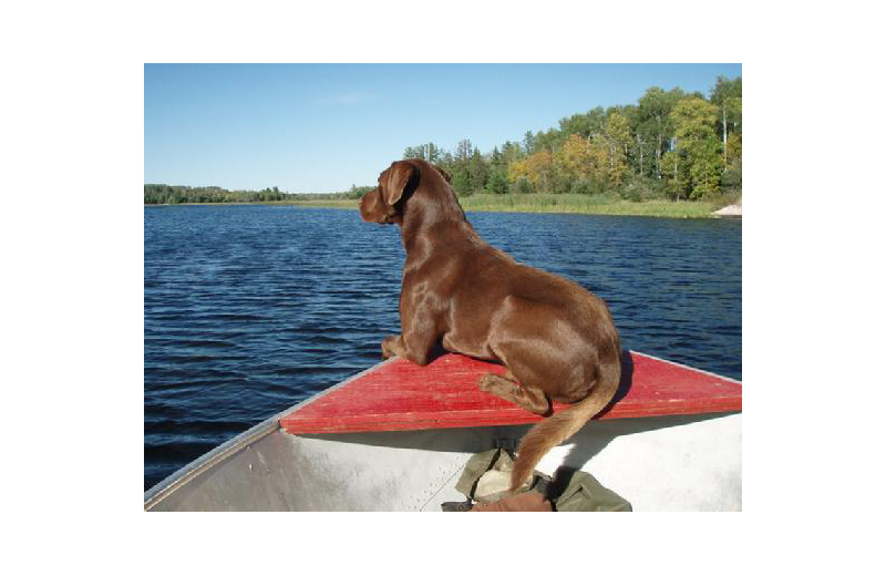 Resort mascot at Stokes Bay Resort.