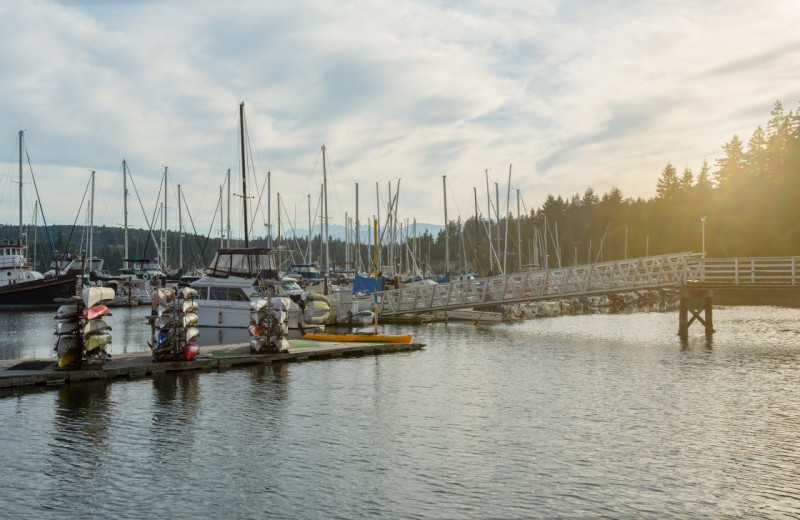 Marina at The Resort at Port Ludlow.