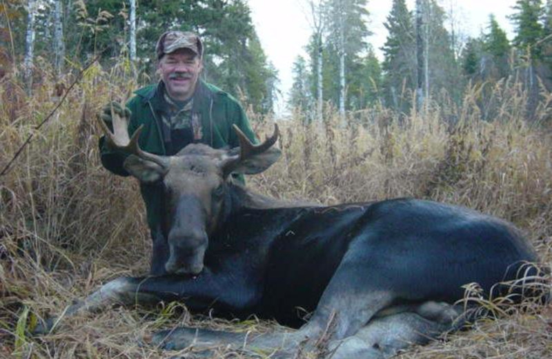 Moose hunting at Liege River Outfitting.