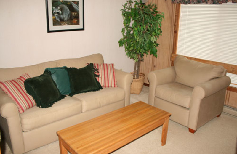 Vacation rental living room at Snowshoe Properties Management.