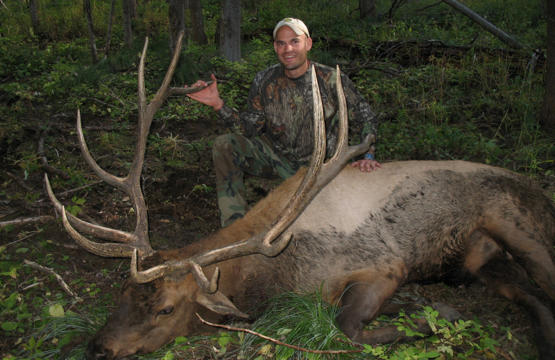 Elk hunting at Silver Spur Outfitters.