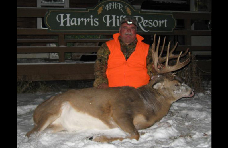 Deer hunting at Harris Hill Resort- Lake Of The Woods.