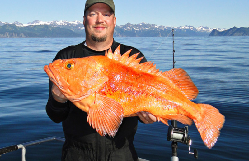 Fishing at Gone Fishin' Lodge.