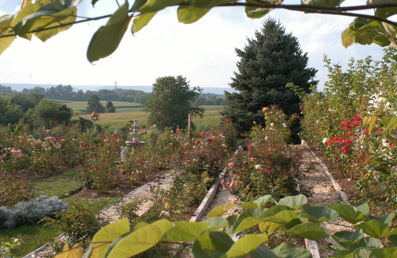 Garden at Annville Inn.