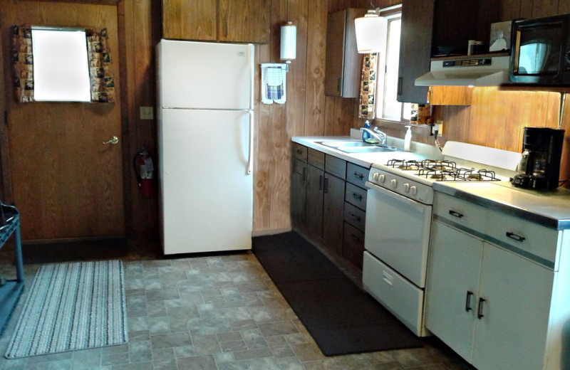 Cabin kitchen at Trout Lake Resort.