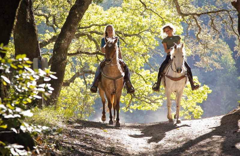 Horseback riding at Zoder's Inn.