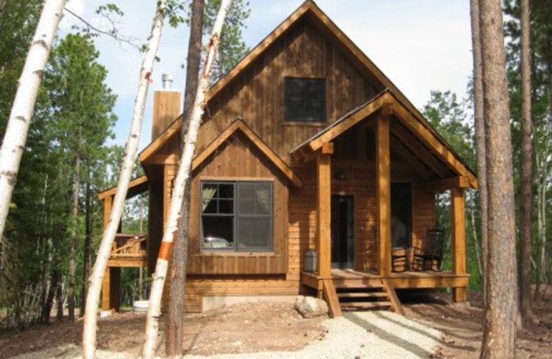 Lead Vacation Rentals Cabin 12 Person Cabin In The South