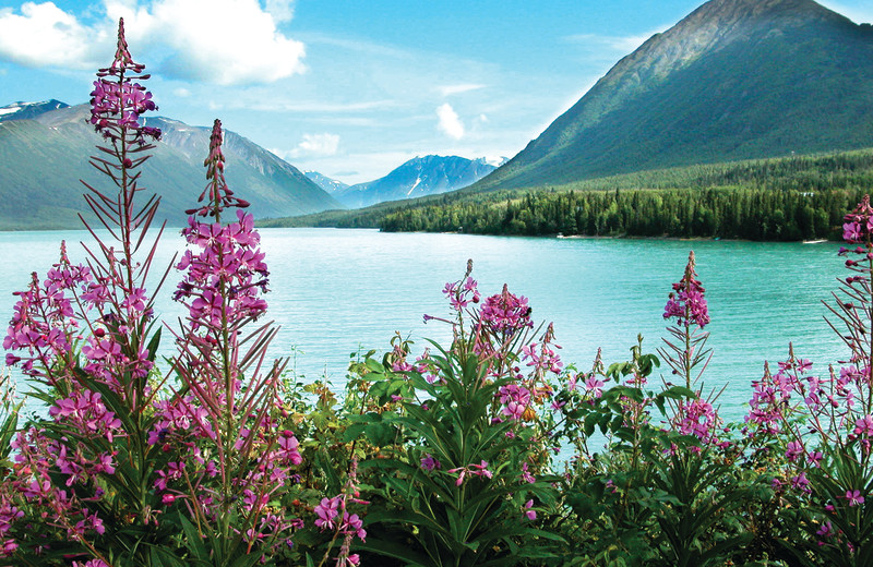 Scenic view at Jimmie Jack's Alaska Fishing Lodges.