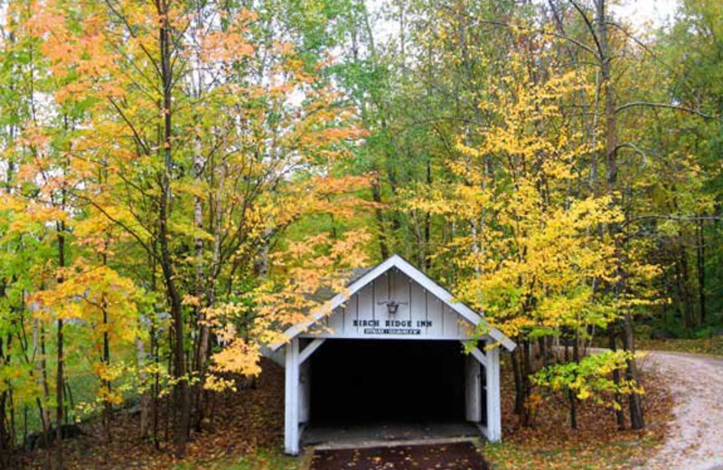 Tunnel view at Birch Ridge Inn.