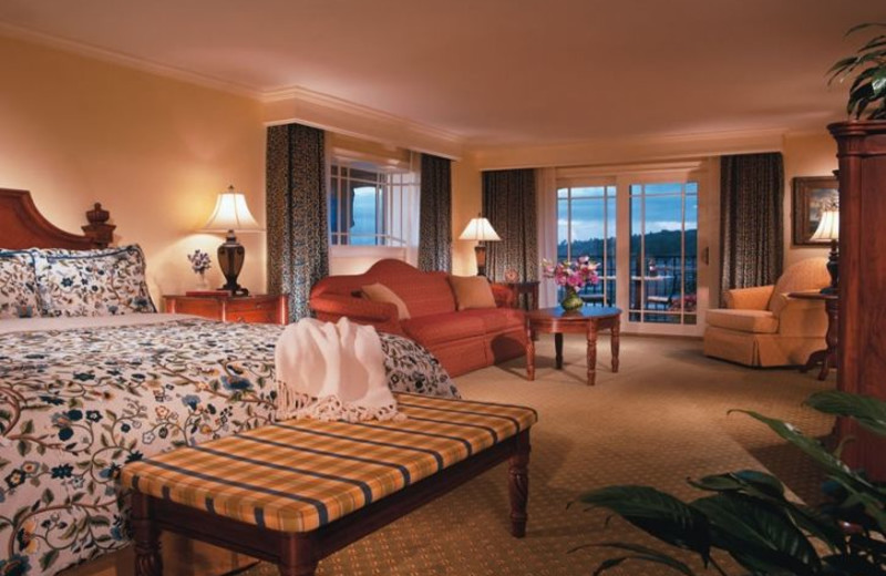 Guest Room at Harborside Hotel