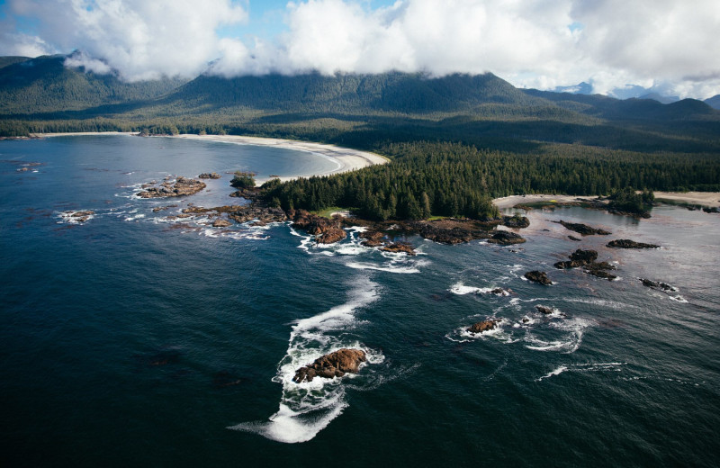 Aerial view of Tofino Resort + Marina.