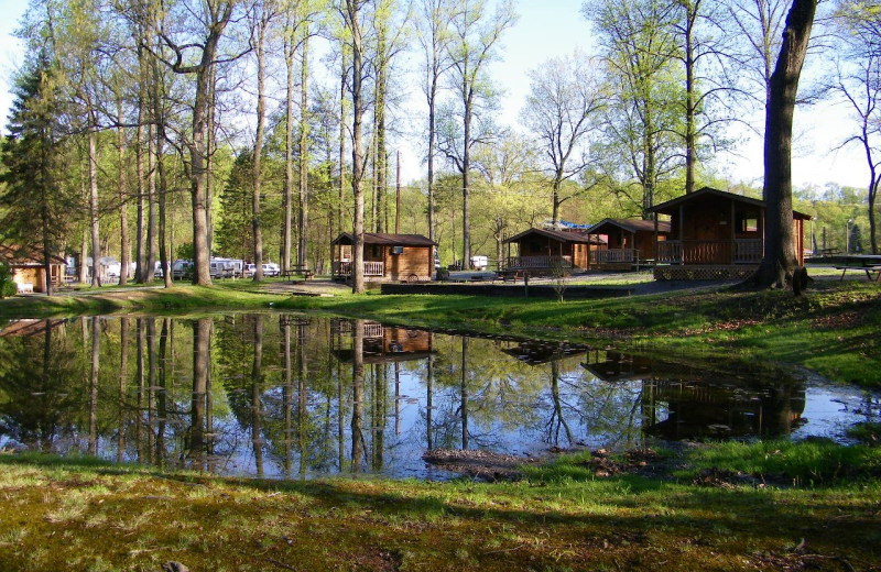 Campground and cabins view at Yogi at Shangri-La.