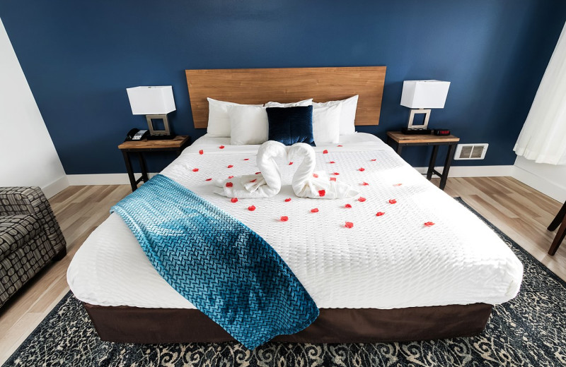 Guest room at Surfrider Resort.