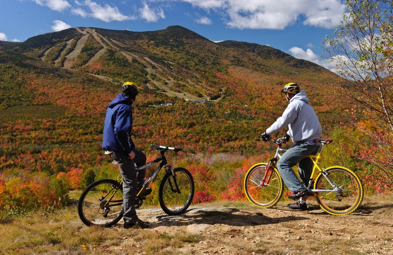 Biking near Best Western Silver Fox Inn.