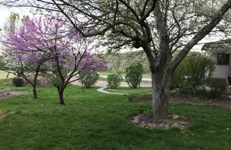 Yard at Hocking Hills Inn.