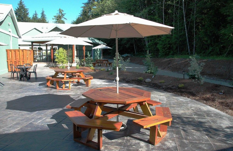 Picnic patio at Honeymoon Bay Lodge & Retreat.