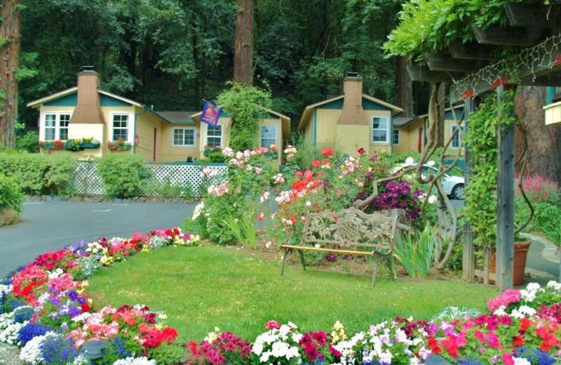 Exterior view of Fern Grove Cottages.