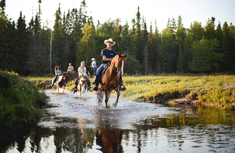 Horseback riding at Falcon Beach Ranch.