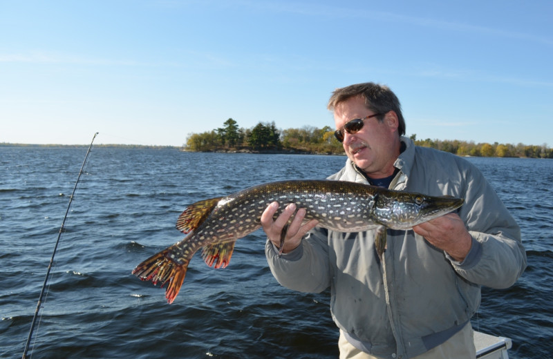 Fishing at Pine Tree Cove Resort.