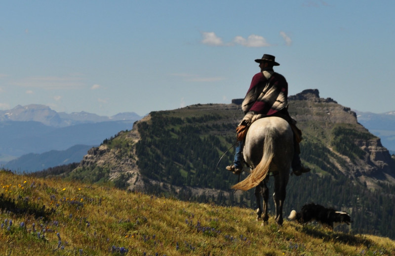 Horseback riding at Triangle X Ranch.