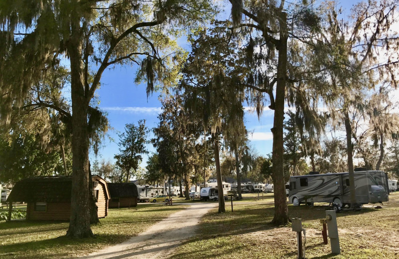 Campground at Ocala RV Camp Resort.