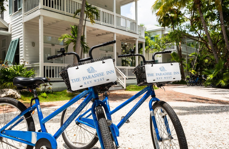 Bike rental at The Paradise Inn.
