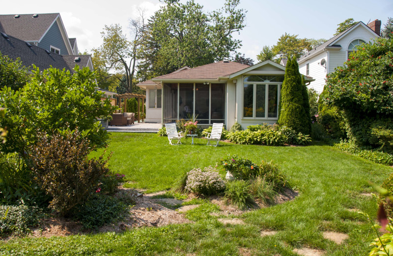 Back yard with beautiful rose gardens