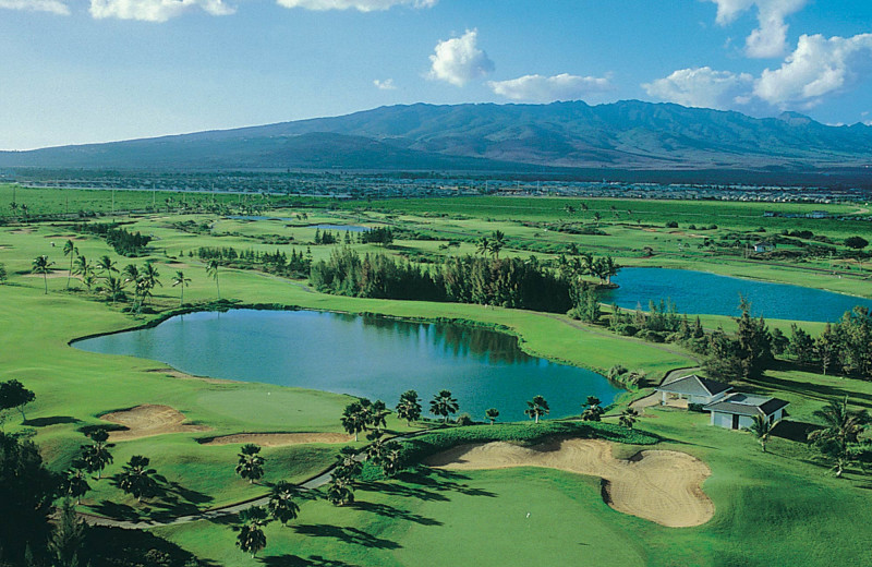 Golf course at Prince Waikiki.