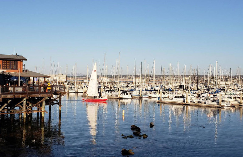 Marina near Inn by the Bay Monterey.