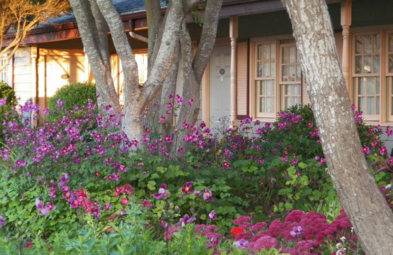 Exterior view of Sea Otter Inn.