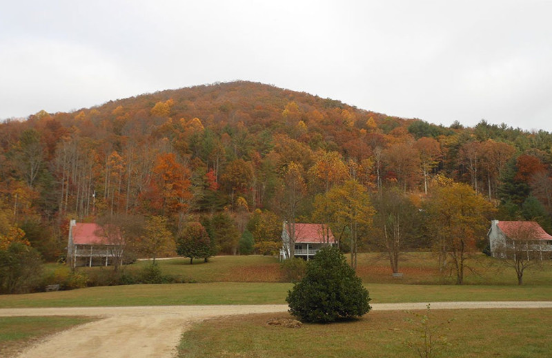 Cabin s at Cabins at Highland Falls.